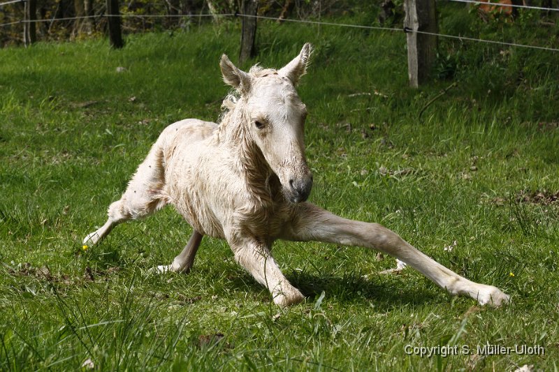 Hjoerdis 16 Min alt (8).JPG